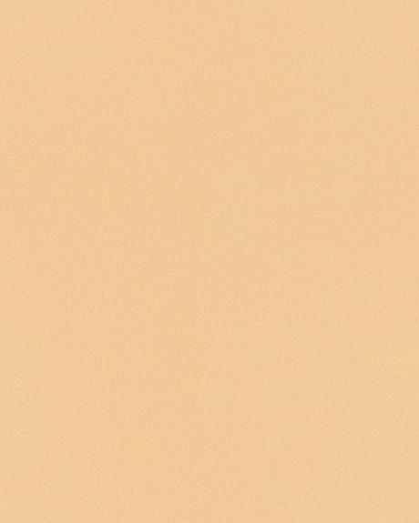 Sample of Mayer Durango Chamois DU-002 Cambridge Coordinates Collection Upholstery Fabric