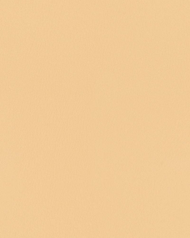 Sample of Mayer Durango Chamois DU-002 Cambridge Coordinates Collection Upholstery Fabric