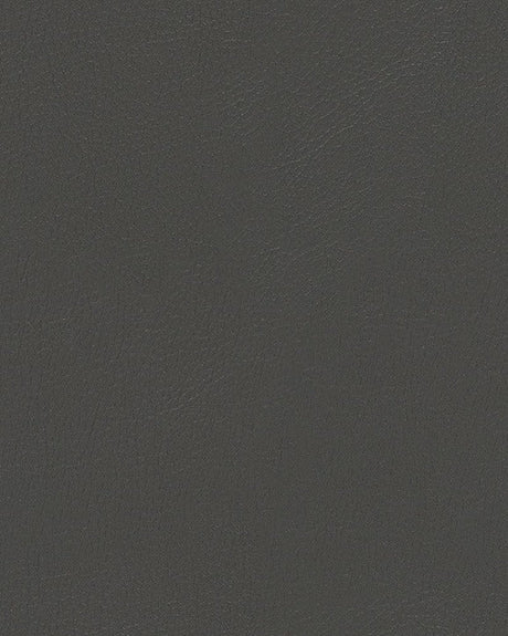Sample of Mayer Durango Char DU-016 Cambridge Coordinates Collection Upholstery Fabric