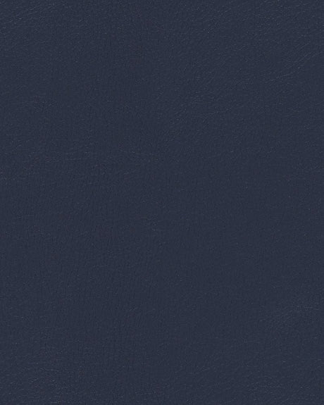 Sample of Mayer Durango Sapphire DU-004 Cambridge Coordinates Collection Upholstery Fabric
