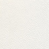 Morbern Marine Allsport Chalk AS-102 Upholstery Fabric
