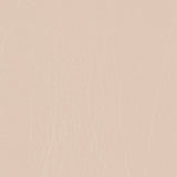 Morbern Marine Freeport Champagne FR-401 Upholstery Fabric