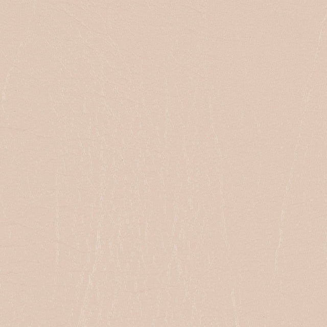 Morbern Marine Freeport Champagne FR-401 Upholstery Fabric