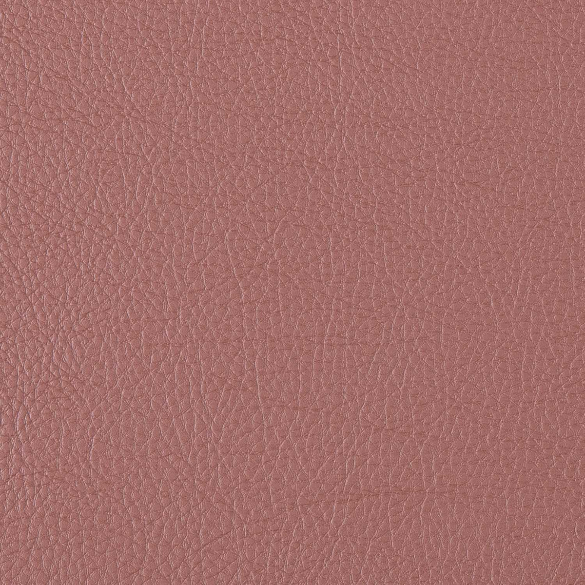 Morbern Marine Prodigy Equestrian PRO-689 Upholstery Fabric