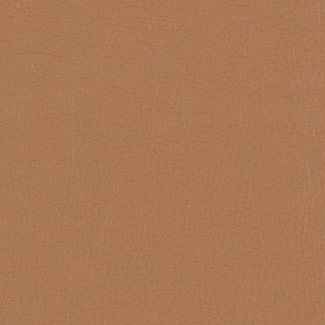 Morbern Marine Protege Empire Tan PG-03 Upholstery Fabric