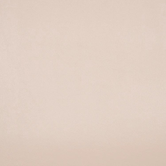 Nassimi Seaquest Lotion PSQ-014 Marine Upholstery Fabric