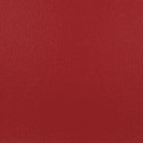 Olympus American Beauty OLY130ADF Contract Automotive and Marine Upholstery Fabric 