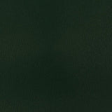 Olympus Hunter OLY155ADF Contract Automotive and Marine Upholstery Fabric 