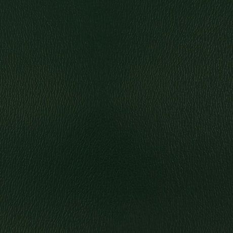 Olympus Hunter OLY155ADF Contract Automotive and Marine Upholstery Fabric 