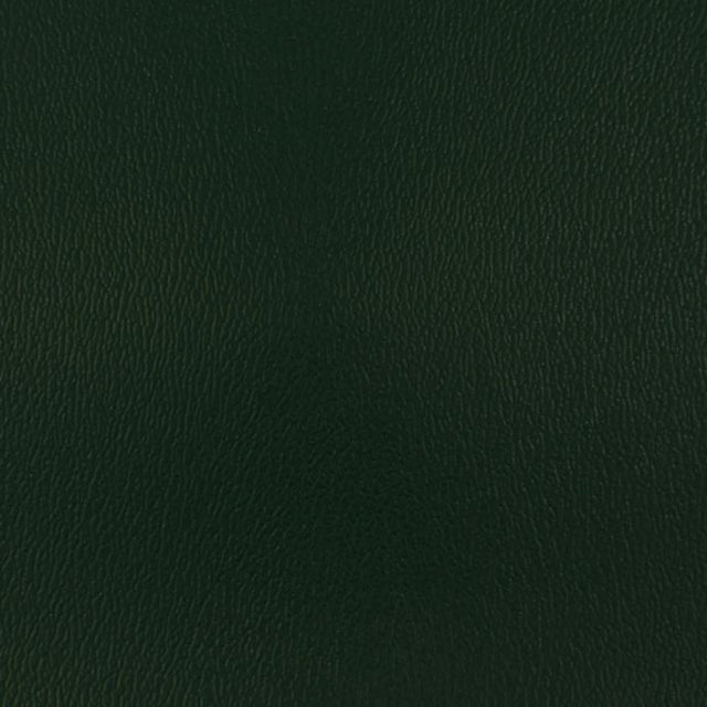 Olympus Hunter OLY155ADF Contract Automotive and Marine Upholstery Fabric 