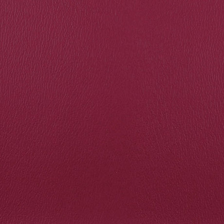 Olympus Raspberry OLY150ADF Contract Automotive and Marine Upholstery Fabric 
