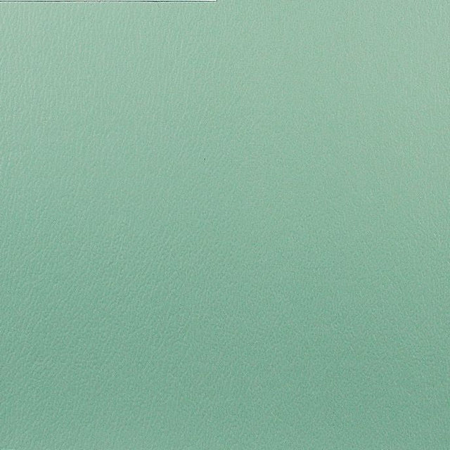 Olympus Tahiti OLY300ADF Contract Automotive and Marine Upholstery Fabric 