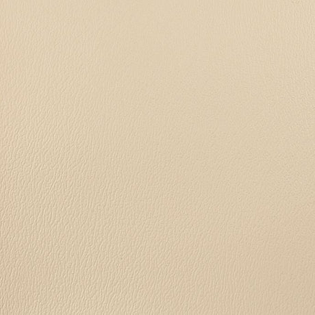 Olympus White OLY170ADF Contract Automotive and Marine Upholstery Fabric 