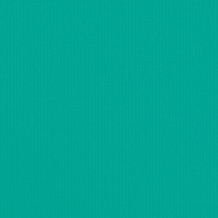 Patio 500 Jade 567 61-Inch Awning Fabric