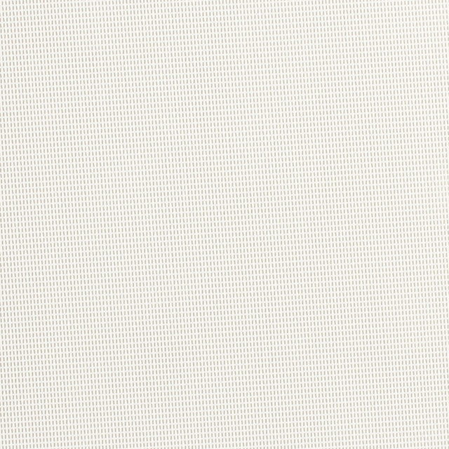 Sample of Phifertex White 000 54-inch Standard Mesh Fabric