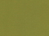 Recacril Solids Pistachio R-160 47-inch Shade / Marine Fabric