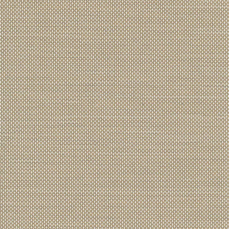 Serge Ferrari Batyline Eden Porcelaine 7710-50719 Sling Fabric