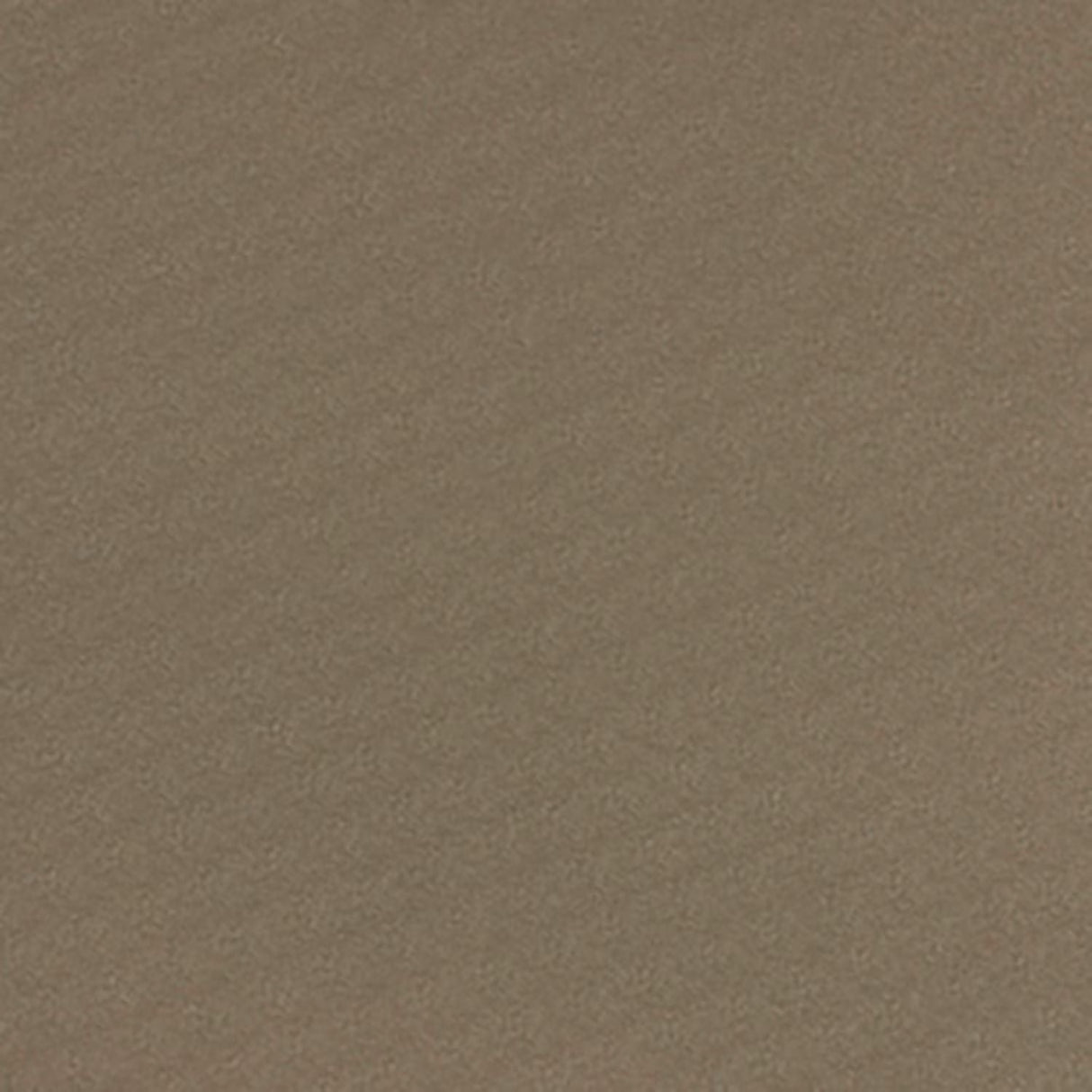 Serge Ferrari Stamoid Light Taupe F4128-20165 102-Inch Marine/Shade Fabric