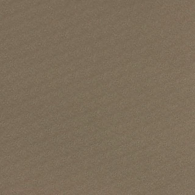 Serge Ferrari Stamoid Light Taupe F4128-20165 102-Inch Marine/Shade Fabric