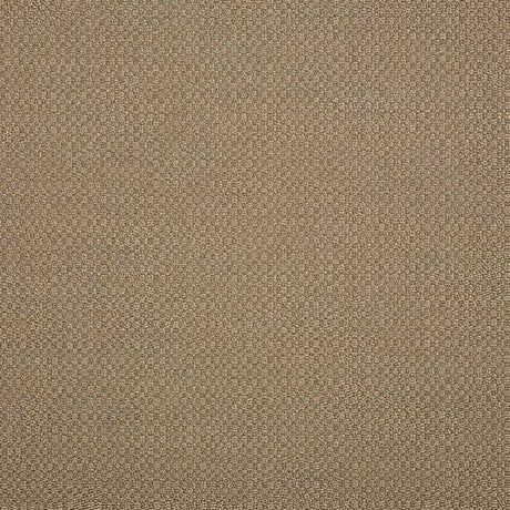 Sunbrella Action Taupe 44285-0003 Elements Collection Upholstery Fabric