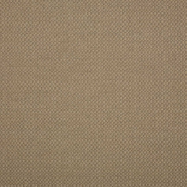 Sunbrella Action Taupe 44285-0003 Elements Collection Upholstery Fabric