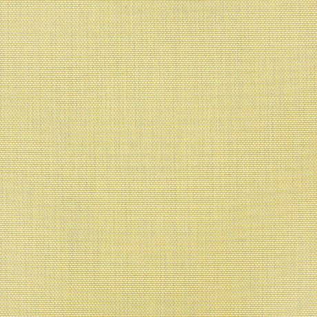 Sunbrella Augustine Pear 5928-0040 Sling Fabric