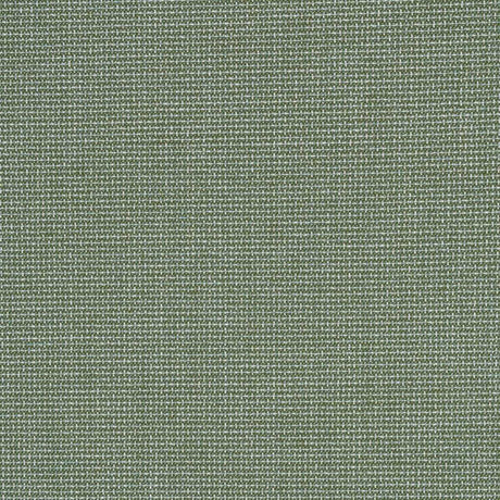 Sunbrella Bliss Aloe 48135-0017 Perspectives Collection Upholstery Fabric