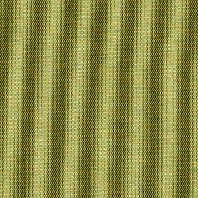 Sample of Sunbrella Canvas Lichen SJA 3970 137 European Collection Upholstery Fabric