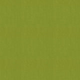 Sample of Sunbrella Canvas Macao SJA 3738 137 European Collection Upholstery Fabric
