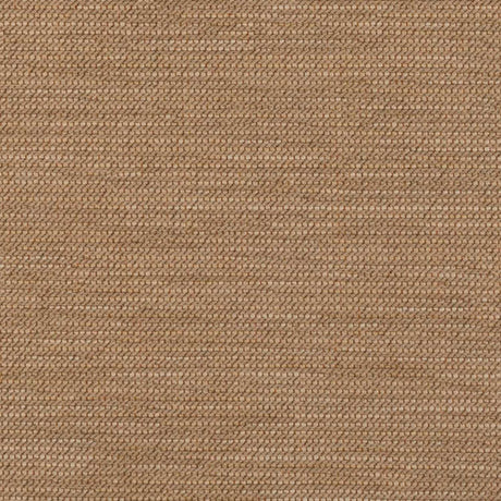 Sunbrella Charmer Desert 42111-0005 Upholstery Fabric