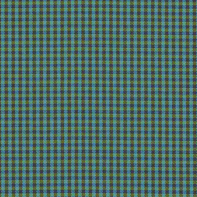 Sample of Sunbrella Checks Oliver Green CHE F059 140 European Collection Upholstery Fabric