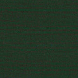 Sample of Sunbrella Ivy 6032-0000 60-Inch Awning / Marine Fabric