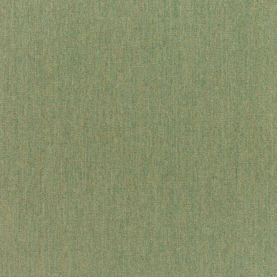 Sunbrella Canvas Fern 5487-0000 Elements Collection Upholstery Fabric
