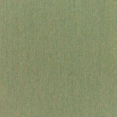 Sunbrella Canvas Fern 5487-0000 Elements Collection Upholstery Fabric