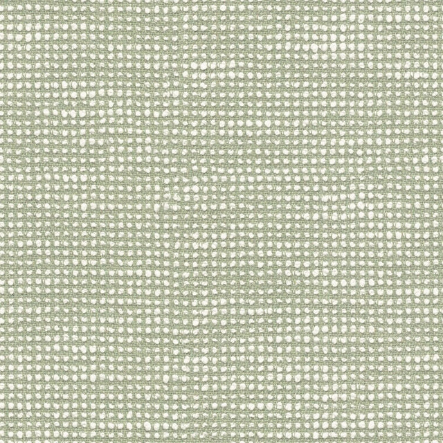 Sample of Sunbrella Slow Spirea SLO 19107 140 European Collection Upholstery Fabric