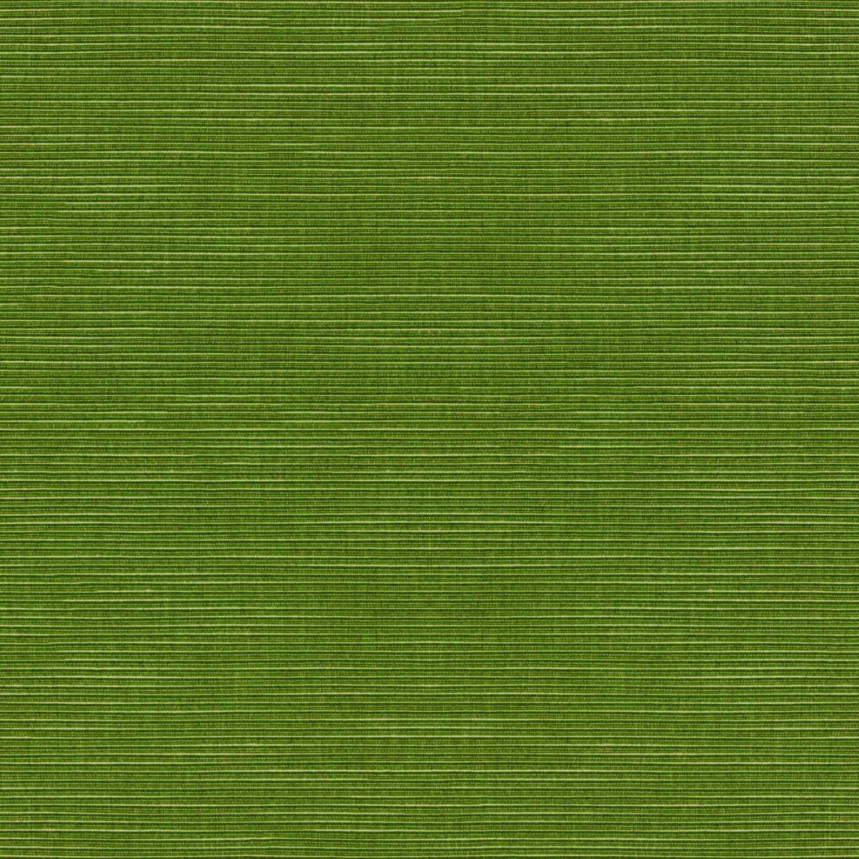 Tempotest Home Ottomano Lime 1276/520 Foundations Collection Upholstery Fabric 
