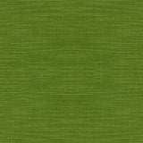Tempotest Home Ottomano Lime 1276/520 Foundations Collection Upholstery Fabric 