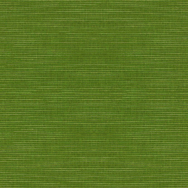 Tempotest Home Ottomano Lime 1276/520 Foundations Collection Upholstery Fabric 