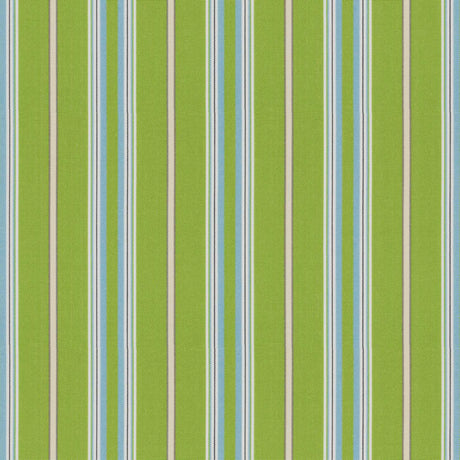 Tempotest Home Presidio Kiwi 5414/16 Foundations Collection Upholstery Fabric 