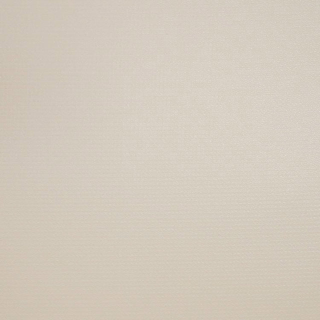 Weblon Coastline Plus Ebbtide Tan CP-2738 62-inch Awning Fabric