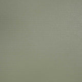 Weblon Coastline Plus Gull Grey CP-2717 62-inch Awning Fabric