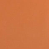 Weblon Coastline Plus Terra Cotta CP-2796 62-inch Awning Fabric