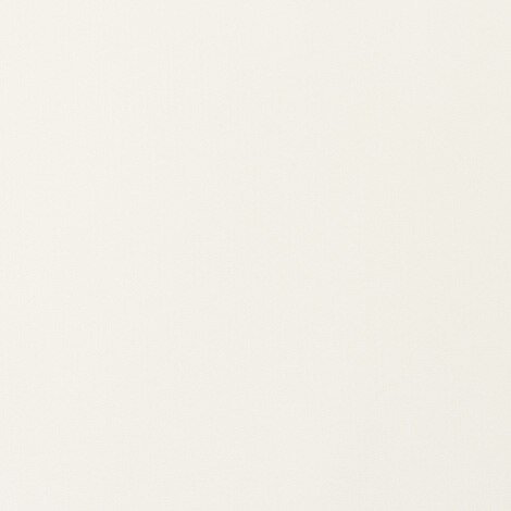 Weblon Vanguard Ivory 2939 62-inch Awning Fabric