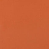 Weblon Vanguard Rust 2909 62-inch Awning Fabric