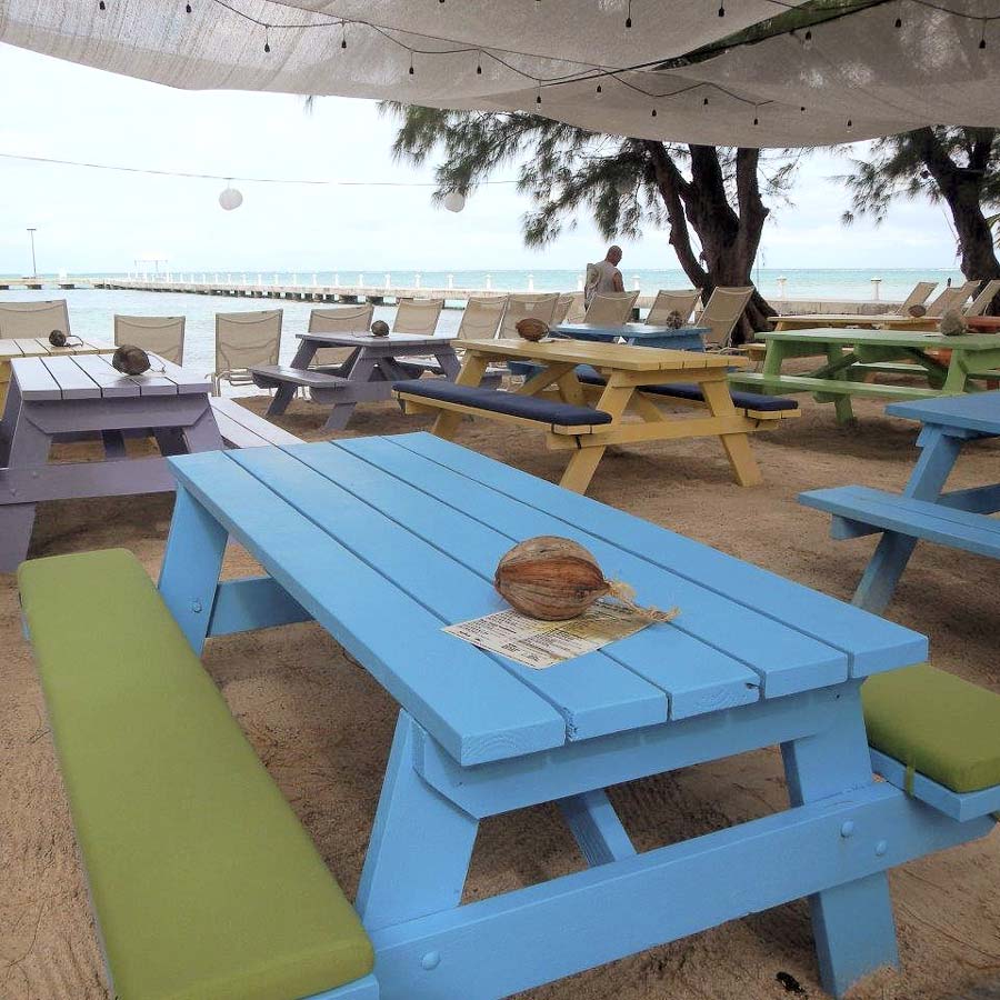 Sunbrella RAIN Canvas Ginkgo 54011-0000 77 Waterproof Upholstery Fabric