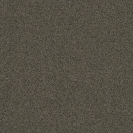 Serge Ferrari Stamskin Top Pebble F4340-07445 Upholstery Fabric