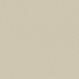 Serge Ferrari Stamskin Top Sahara F4340-20279 Upholstery Fabric