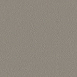 Serge Ferrari Stamskin Top Taupe F4340-20237 Upholstery Fabric