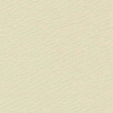 Ship to Shore 002 White Marine Underliner Fabric