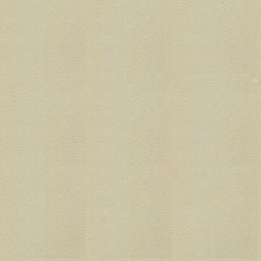 Ship to Shore Armada 102 Biscay Ivory Automotive / Marine Upholstery Fabric